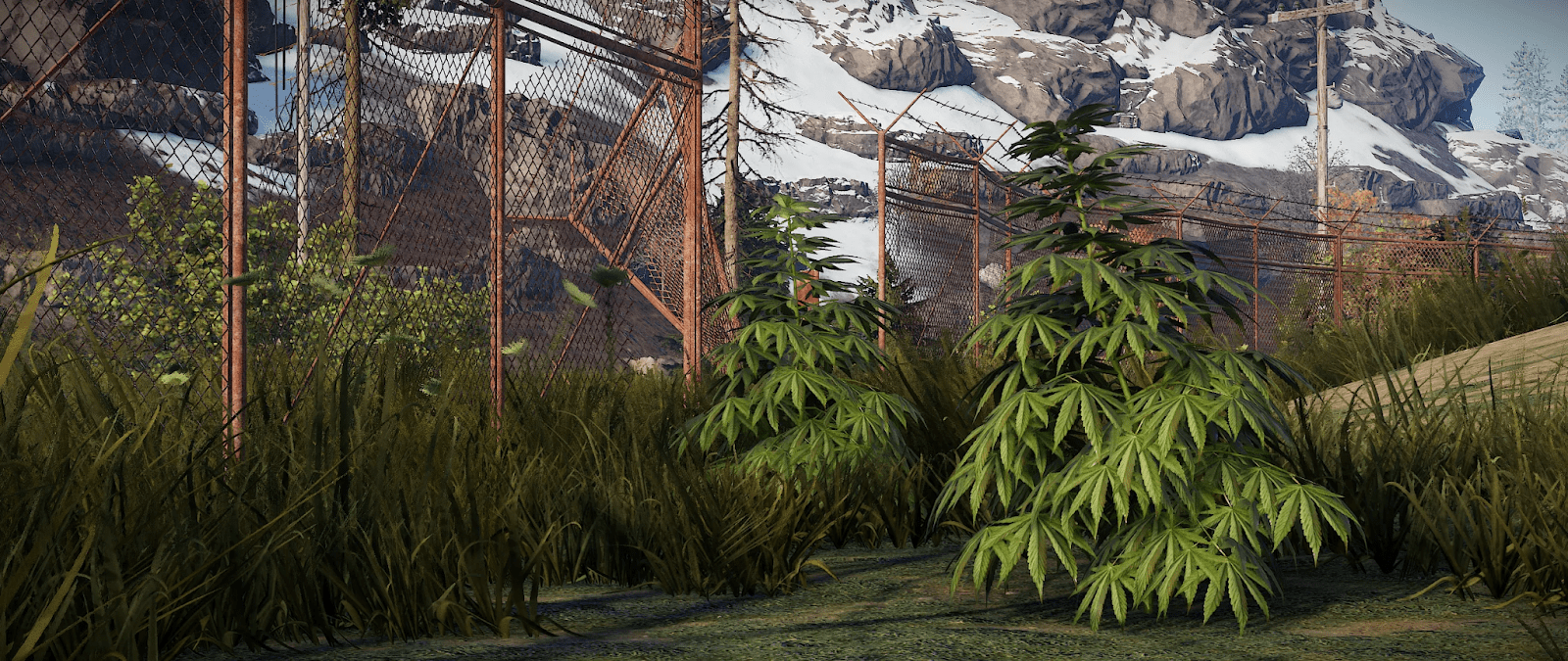 Ткань в Rust: где взять, как добыть и сделать ферму с лучшим геном